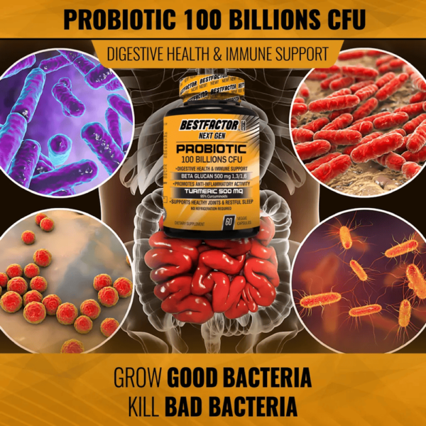 Probiotic : Anti-inflammatory,Digestive Health  | WikiHealthia - Image 6