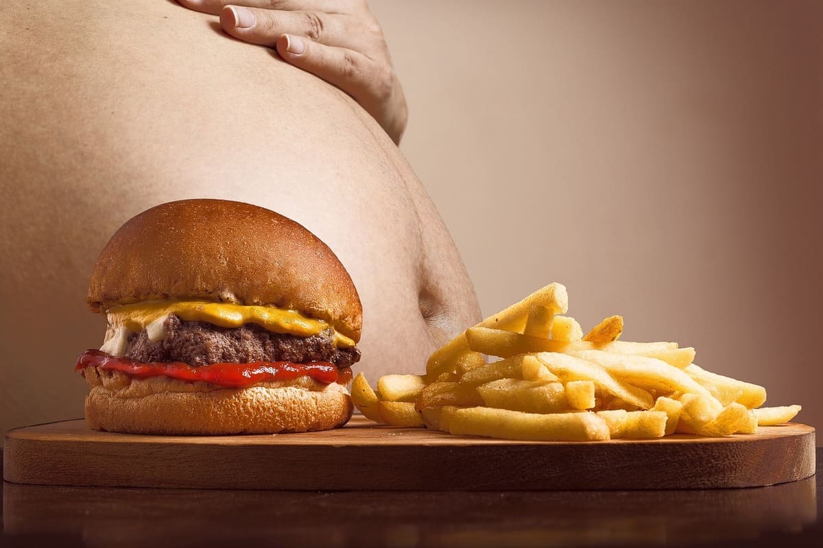 Obesity is a Global Problem, and There Are Effective Solutions to Lose Weight | WikiHealthia