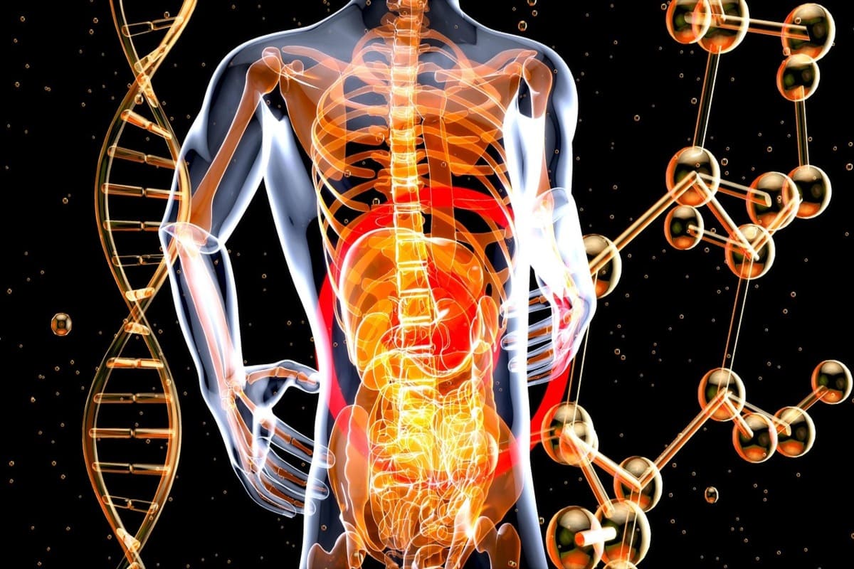 Is Your Gut Health the Missing Link to Better Mood and Energy?